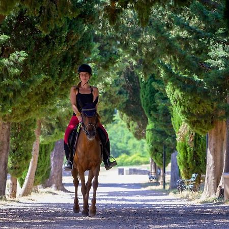 Villa Marietta Equino Sitno Donje Esterno foto