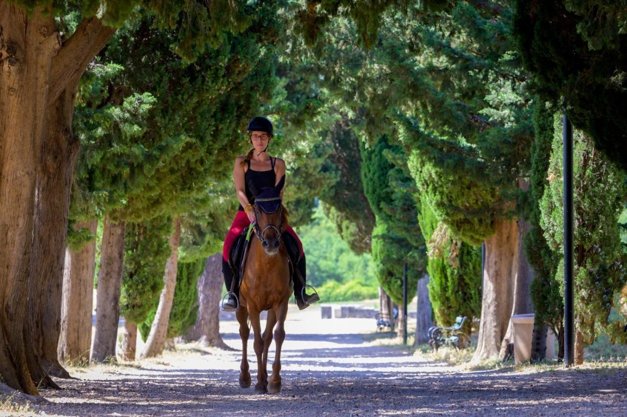 Villa Marietta Equino Sitno Donje Esterno foto